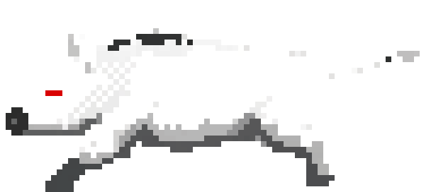 albino 2
